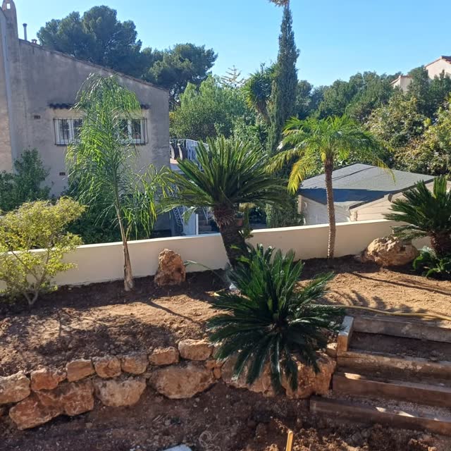 Muret en pierre & escalier